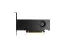 PNY NVIDIA RTX PRO 2000 Blackwell Graphic Card - 16 GB GDDR7 ECC - PCIe 5.0 x8 -