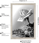 Americanflat 12x18 Poster Frame Driftwood Engineered Wood Polished Plexiglass - Brand New