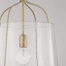 HomePlace Lighting 347011AD Madison Transitional Seeded Glass Light Fixture - Brand New