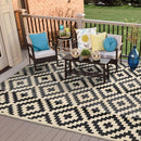 Joyrally Outdoor Rug 6x9,Outdoor Plastic Straw Rug, Waterproof, B0C4636DCH - Brand New