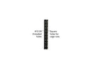 Tripp Lite SRW15US 15U SmartRack 15U Wall-Mount Rack Enclosure Cabinet