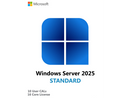 HPE Microsoft Windows Server 2025 - License To Use (LTU) - 10 User CAL
