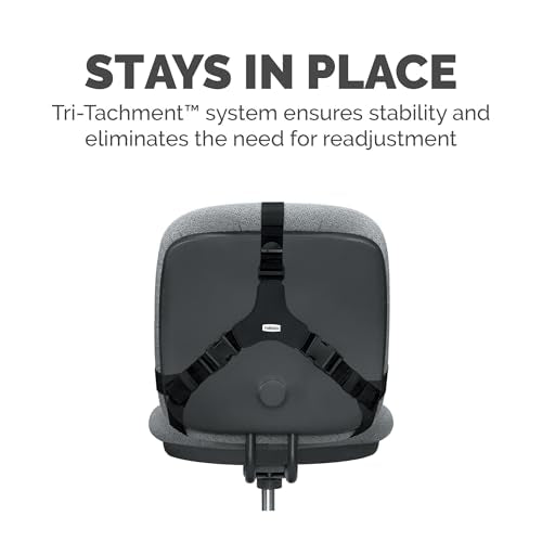 FELLOWES PROFESSIONAL SERIES BACK SUPPORT, BLACK (8037601) - BLACK - Like New