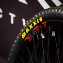 Maxxis DTH | Dual Compound | Silkworm, Wire Bead BMX Tire - 20x1-1/8 - Brand New