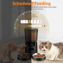 KATALIC AUTOMATIC PET/DOG/CAT FEEDERS FOR TWO PETS, CATS, DOGS APF01 - BLACK - Like New