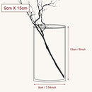 Homerove Glass Flower Vase, Set of 12 Clear Glass Cylinder Vase (6" Tall) - Brand New