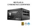 ASRock Steel Legend SL-850G 850W 80 PLUS GOLD & Cybenetics PLATINUM Full Modular