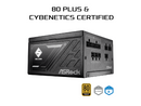 ASRock Steel Legend SL-650G 650W 80 PLUS GOLD & Cybenetics PLATINUM Full Modular