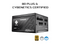 ASRock Steel Legend SL-650G 650W 80 PLUS GOLD & Cybenetics PLATINUM Full Modular