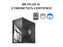 ASRock Steel Legend SL-850P 850W 80 PLUS GOLD & Cybenetics PLATINUM Full Modular