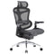 SIHOO Doro C300 Pro Ergonomic Office Chair with Ultra-Soft 6D Armrests - Black - Like New