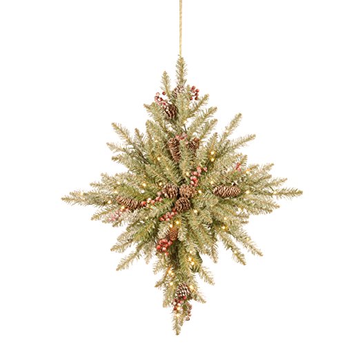 Tree Company Dunhill Fir Bethlehem Star Battery Operated Lights DUF3-301-32STB1 - Like New