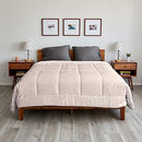 Eucalyptus Lyocell Down Alternative Comforter All Season – Queen Pearl - Brand New