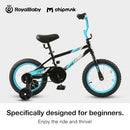 RoyalBaby Chipmunk Kids Bike Toddlers 14 Inch Wheel Bicycle - Dynamo Blue - Like New