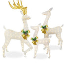3 Piece Christmas Lighted Reindeer Decorations B0B79LM8RP - Brand New