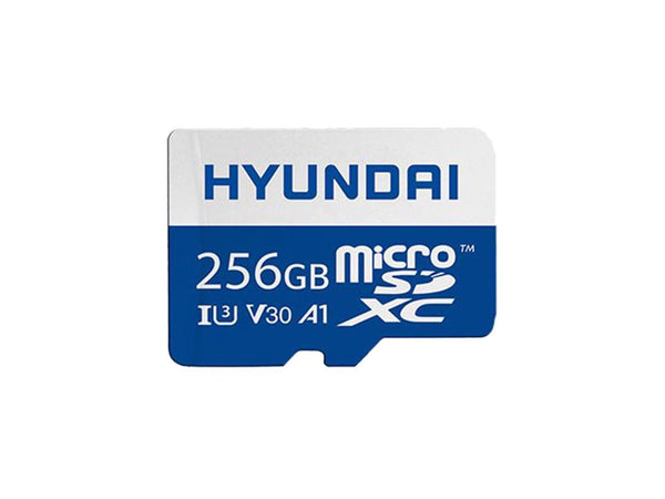 256GB 4K MICRO SDXC LIFETIME