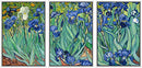 WALL26 IRIS BY VINCENT VAN GOGH NATURE FINE ART - 16"x24"x3" - WHITE MULTICOLOR - Like New