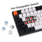 Keychron C2 Full Size Wired Mechanical Keyboard Mac Hot-swappable Gateron G Pro - Like New