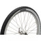BLACKBURN 26" CRUISER BIKE TIRE, 26 X 2.125 - BLACK/WHITE - Brand New