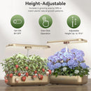 Lyko Hydroponics Growing System LYKO 12 Pods Garden LED Lights Plants - GOLD - Like New