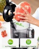 TUUMIIST COLD PRESS JUICER MACHINE 6.5" CHUTE MASTICATING EXTRACTOR - BLACK/GRAY - Like New