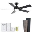 Modern Ceiling Fans with Lights - 52" Black Outdoor Ceiling Fan with Light - Like New
