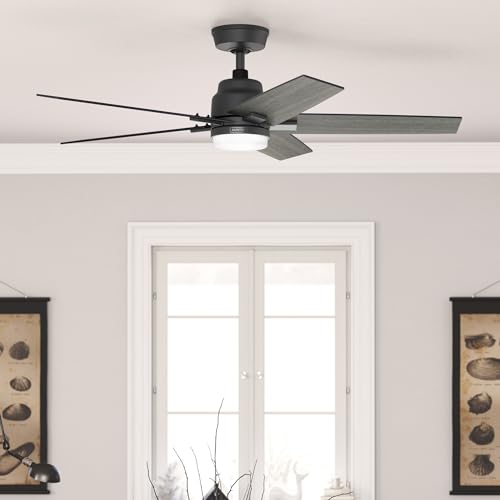 HUNTER FAN COMPANY HUNTER RAPIDAN LED 52"" CEILING FAN 5 BLADE - MATTE BLACK - Like New
