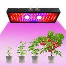 JINQIAOYI LED Grow Light (2000W) Veg and Flower Full Spectrum - Black - Like New