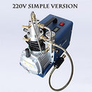 DOLUNTO 110v/220v 300BAR 30MPA 4500PSI High Pressure Air Pump (110v Simple) - Brand New