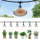 DANSHINRO 6-LIGHT OUTDOOR LED GROW LIGHTS 21.3FT STRING LIGHTS PALE RED - Like New