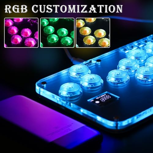 LBER ARCADE STICK GAME KEYBOARD R13 CONTROLLER ARCADE STICK LBER-2040 - BLACK - Like New