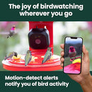 PERKY-PET SMART BIRD FEEDER WITH CAMERA FOR HUMMINGBIRDS 20 OZ - RED - Like New