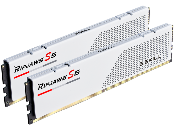 G.SKILL Ripjaws S5 Series 32GB (2 x 16GB) 288-Pin PC RAM DDR5 6000 (PC5 48000)