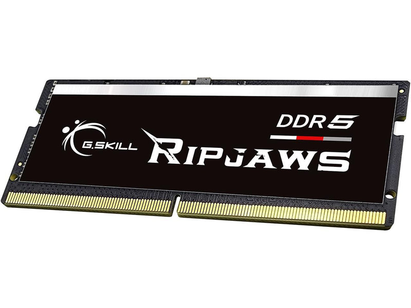 G.SKILL Ripjaws SO-DIMM 16GB 262-Pin DDR5 SO-DIMM DDR5 4800 (PC4 38400) Laptop