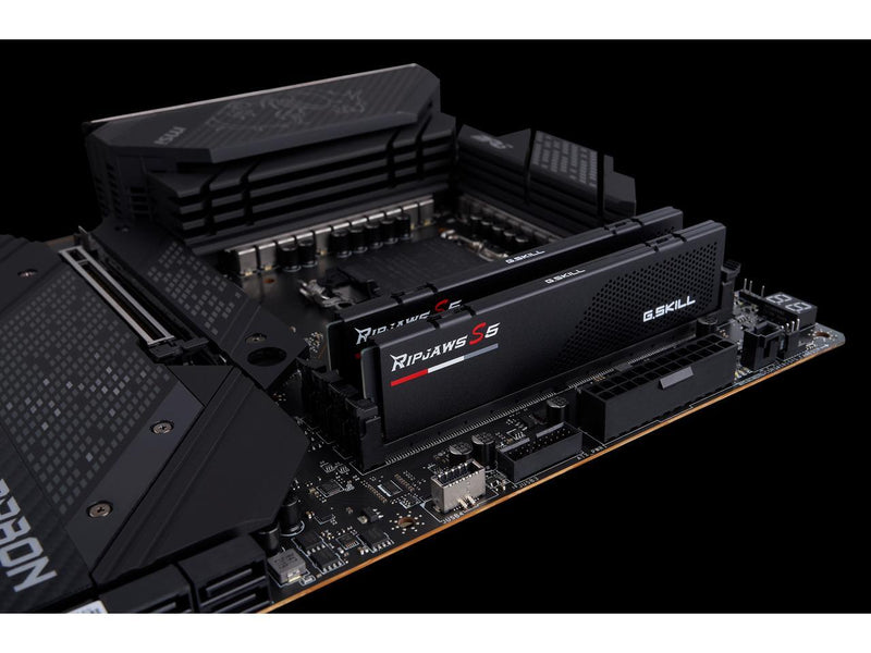 G.SKILL Ripjaws S5 Series 128GB (2 x 64GB) 288-Pin PC RAM DDR5 6000 (PC5 48000)