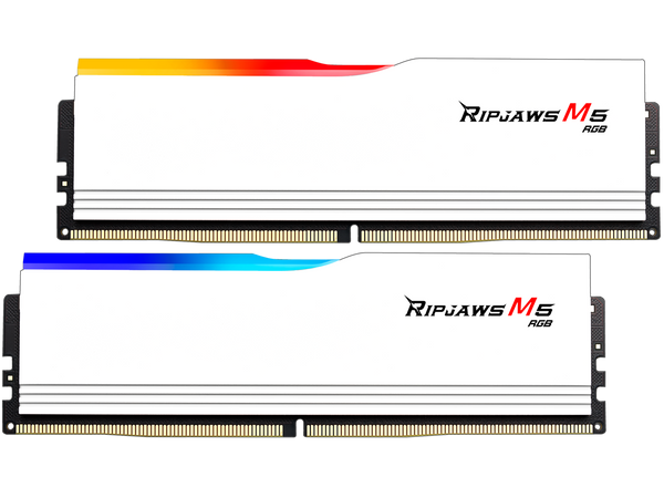 G.SKILL Ripjaws M5 RGB Series 64GB (2 x 32GB) 288-Pin PC RAM DDR5 6000 (PC5