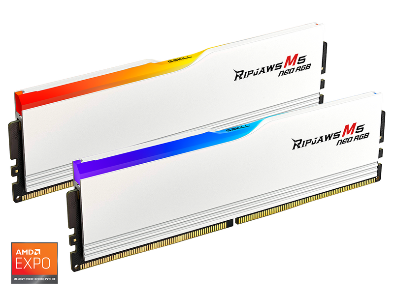 G.SKILL Ripjaws M5 RGB Series 32GB (2 x 16GB) 288-Pin PC RAM DDR5 6000 (PC5