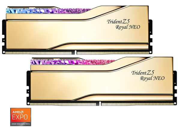 G.SKILL Trident Z5 Royal Series 48GB (2 x 24GB) 288-Pin PC RAM DDR5 6000 (PC5