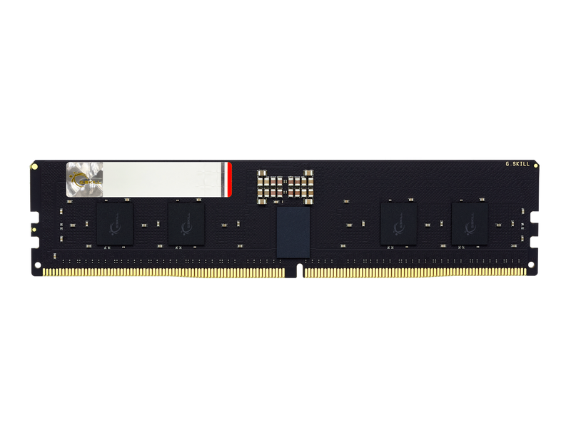 G.SKILL G5 Series 64GB (4 x 16GB) ECC Registered DDR5 6400 (PC5 51200) Server