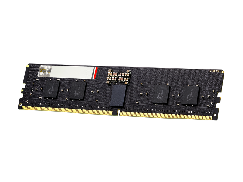 G.SKILL G5 Series 128GB (8 x 16GB) ECC Registered DDR5 6400 (PC5 51200) Server