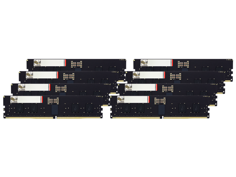 G.SKILL G5 Series 128GB (8 x 16GB) ECC Registered DDR5 6000 (PC5 48000) Server