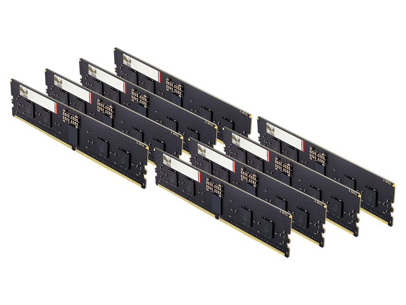 G.SKILL G5 Series 128GB (8 x 16GB) ECC Registered DDR5 6000 (PC5 48000) Server