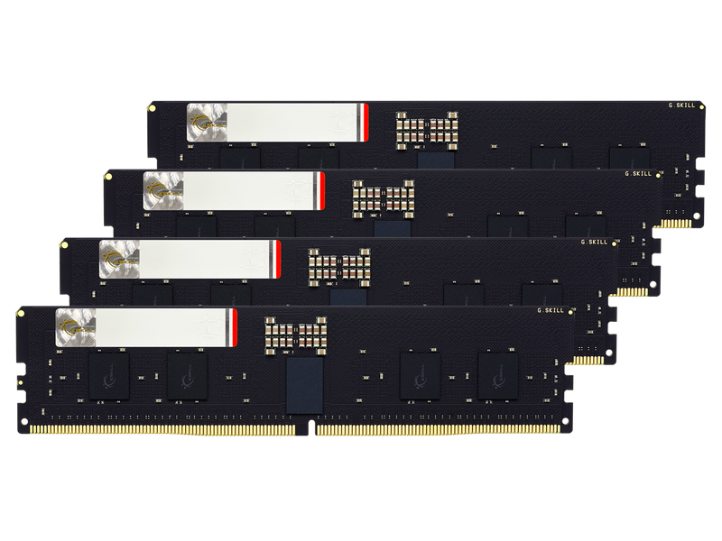 G.SKILL G5 Series 64GB (4 x 16GB) ECC Registered DDR5 6400 (PC5 51200) Server