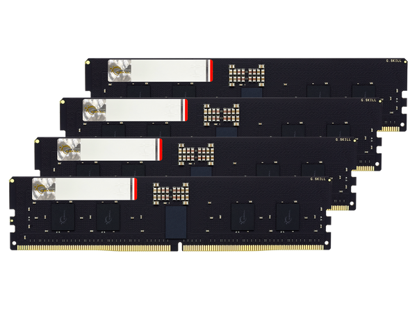 G.SKILL G5 Series 64GB (4 x 16GB) ECC Registered DDR5 6000 (PC5 48000) Server