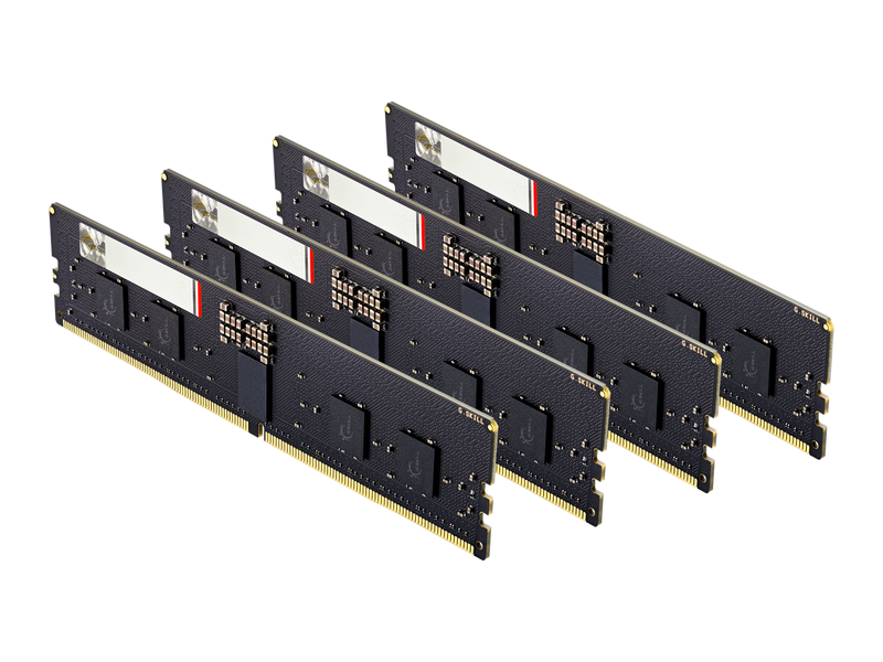 G.SKILL G5 Series 64GB (4 x 16GB) ECC Registered DDR5 6400 (PC5 51200) Server