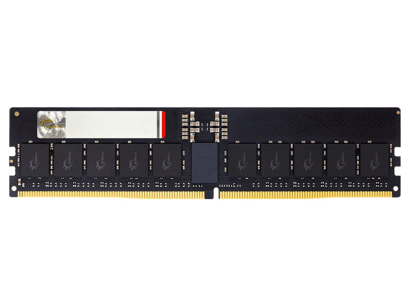 G.SKILL G5 Series 384GB (8 x 48GB) ECC Registered DDR5 6000 (PC5 48000) Server