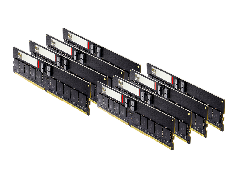 G.SKILL G5 Series 384GB (8 x 48GB) ECC Registered DDR5 6000 (PC5 48000) Server