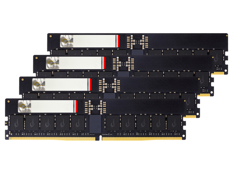 G.SKILL G5 Series 192GB (4 x 48GB) ECC Registered DDR5 6000 (PC5 48000) Server