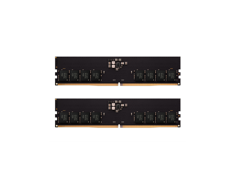 Team Elite 16GB (2 x 8GB) 288-Pin PC RAM DDR5 5600 (PC5 44800) Desktop Memory
