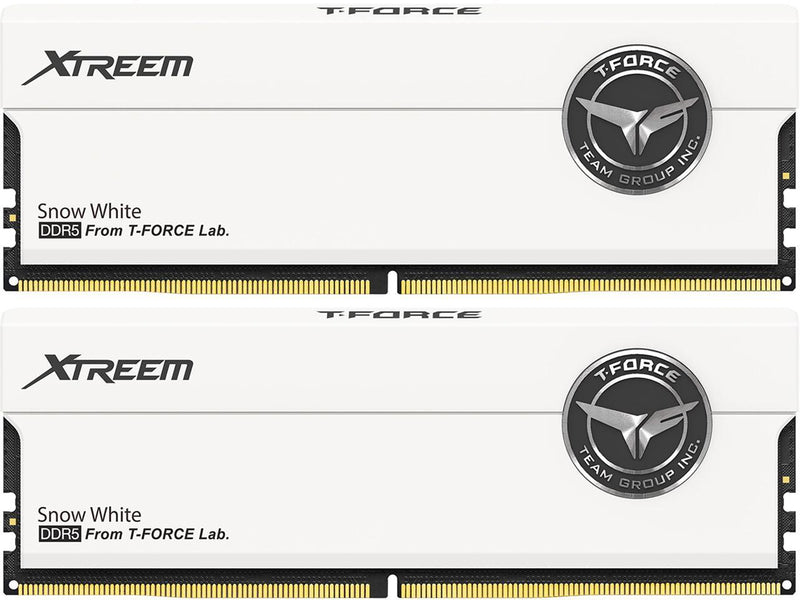 Team Xtreem 32GB (2 x 16GB) 288-Pin PC RAM DDR5 8000 (PC5 64000) Desktop Memory